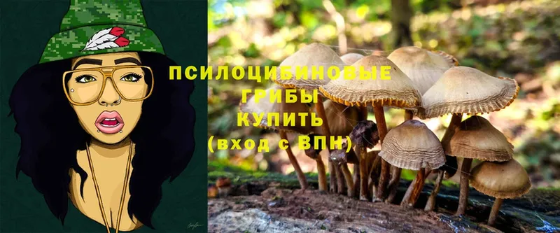 Псилоцибиновые грибы MAGIC MUSHROOMS  магазин    Покачи 